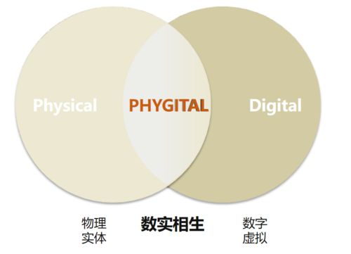 数实相生 数字化服务转型发展的统筹与融通